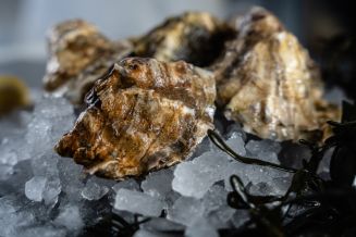 Colchester Oysters (Each)